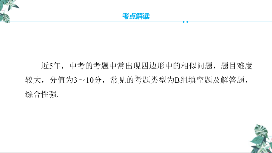 人教版初中数学九年级中考复习专题课件.pptx_第3页