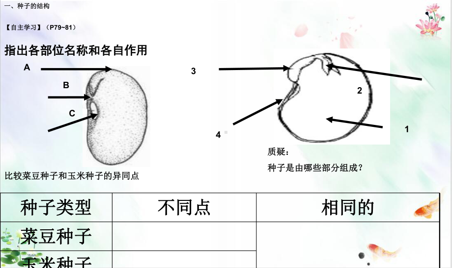 人教版《种子植物》导学课件.ppt_第2页