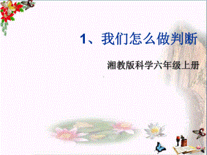 六年级科学上册61我们怎样做判断课件1湘教版.ppt