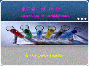 生物化学第4章糖代谢课件讲义.ppt