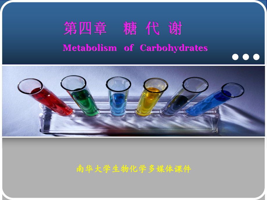 生物化学第4章糖代谢课件讲义.ppt_第1页