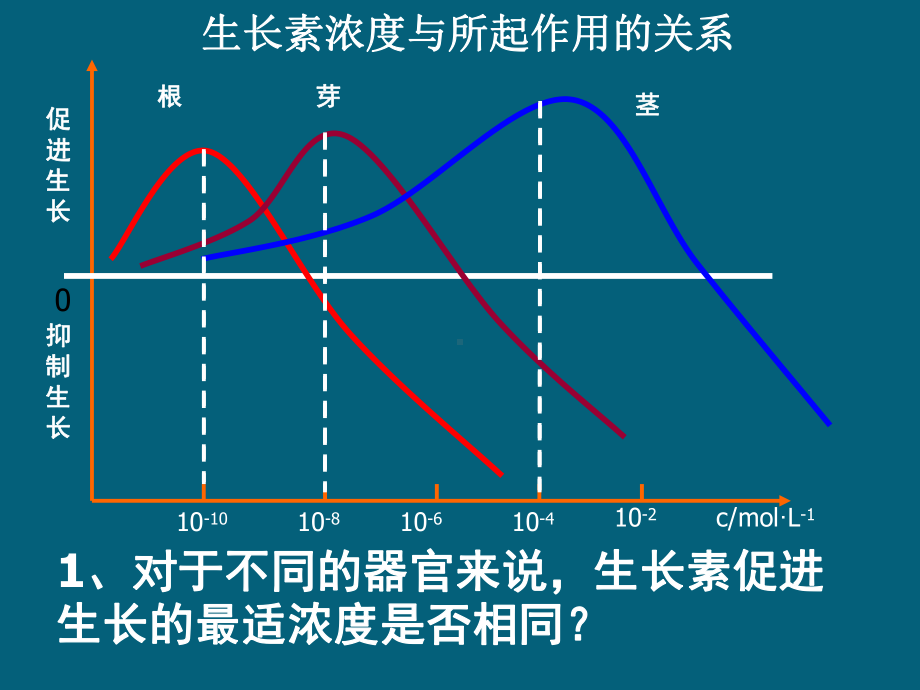 人教版必修3第3章第2节生长素的生理作用课件.ppt_第2页