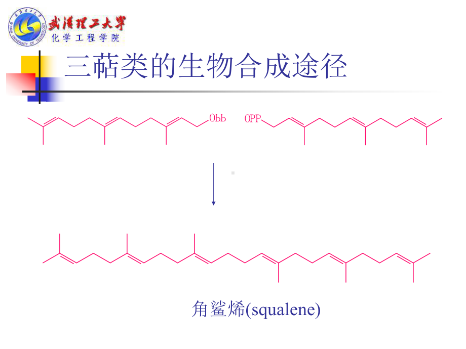 天然药物化学第7章三萜及其苷类Triterpenoids课件.ppt_第3页