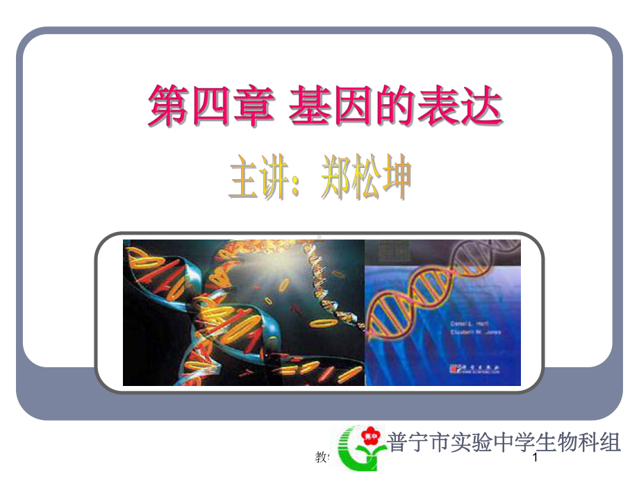 人教版教学课件基因控制蛋白质的合成课件上学期.ppt_第1页