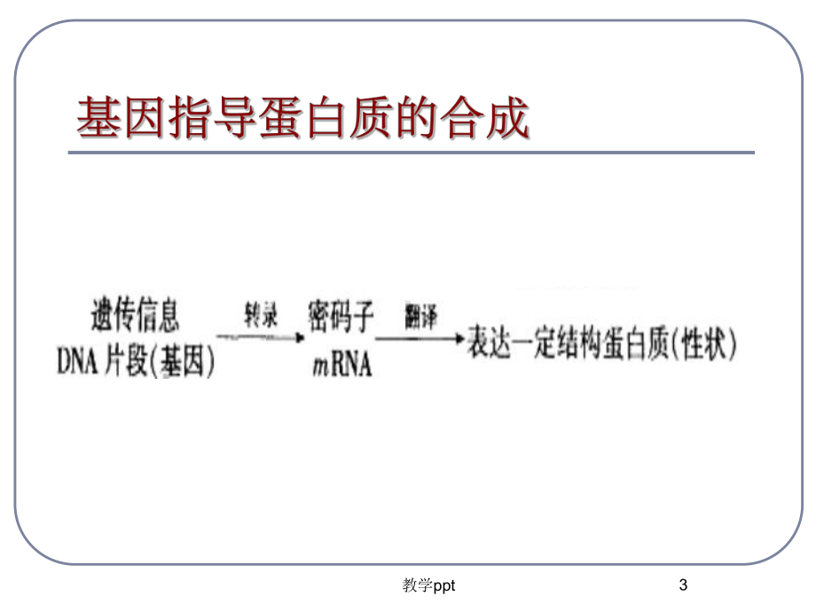 人教版教学课件基因控制蛋白质的合成课件上学期.ppt_第3页