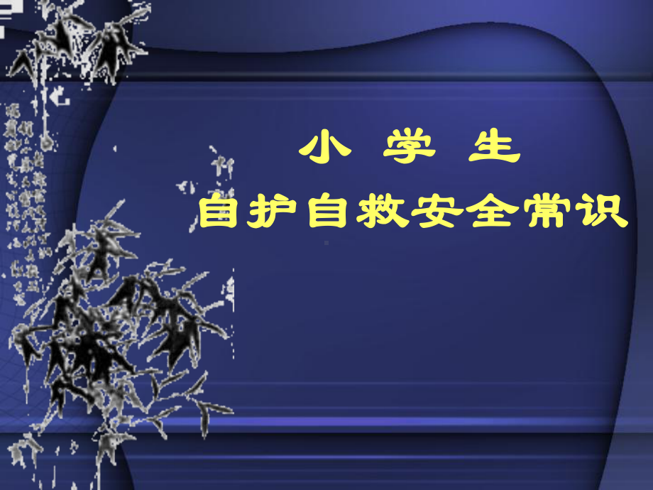 自护自救安全常识（精选）课件.ppt_第1页