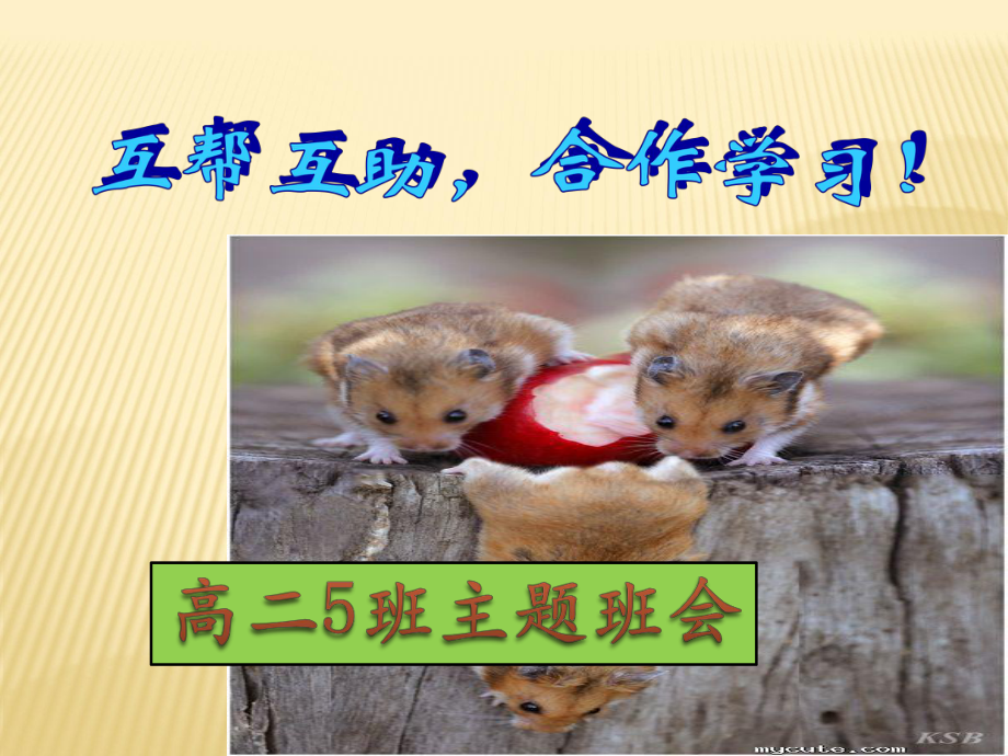 互帮互助合作学习班会课件(高二5).ppt_第1页