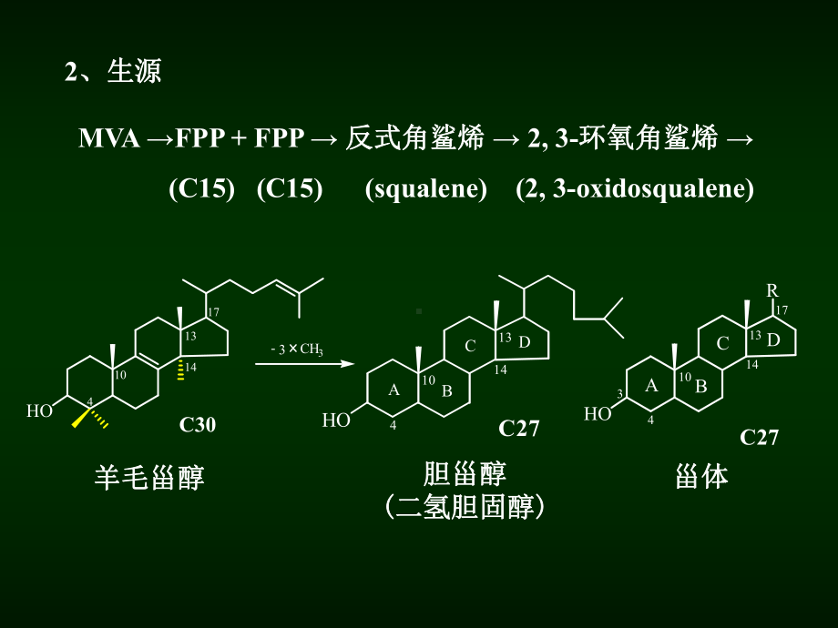 天然药物化学第八章甾体及其苷类课件.ppt_第2页