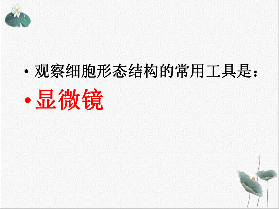 七年级上科学《细胞》课件浙教版.ppt_第2页