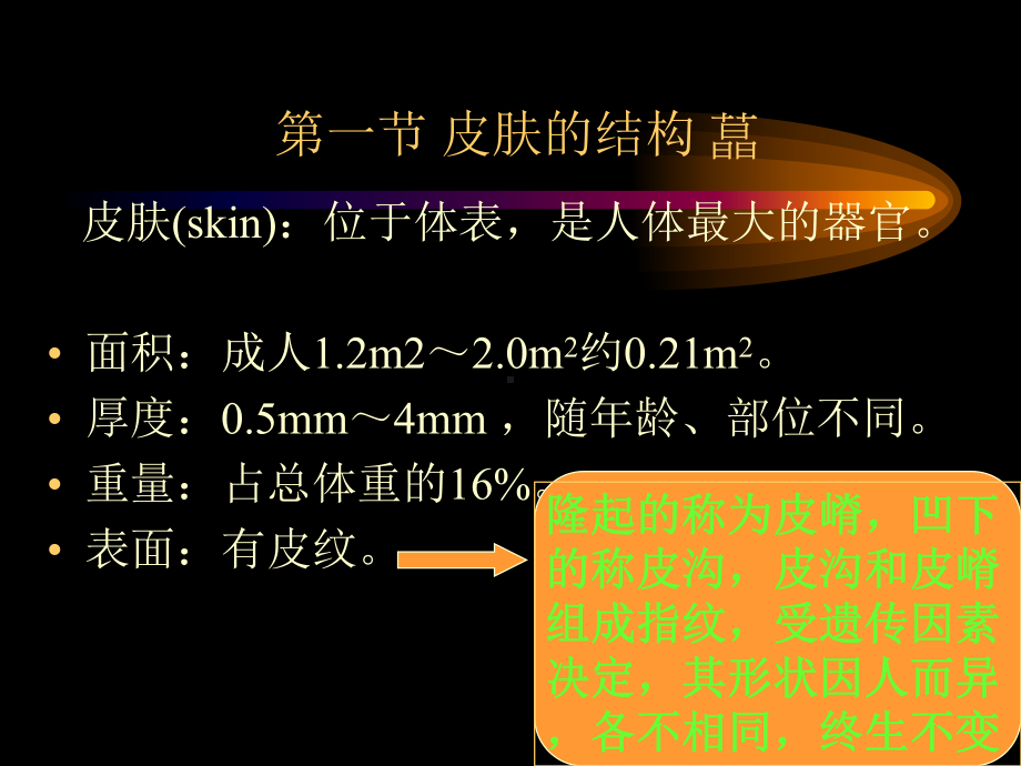 总论皮肤性病学课件.ppt_第3页