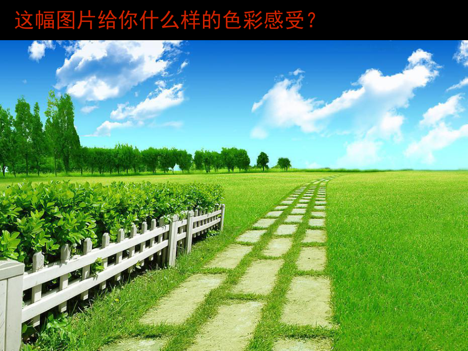 人美版小学美术第六课画一幅色彩和谐的画课件1.ppt_第1页