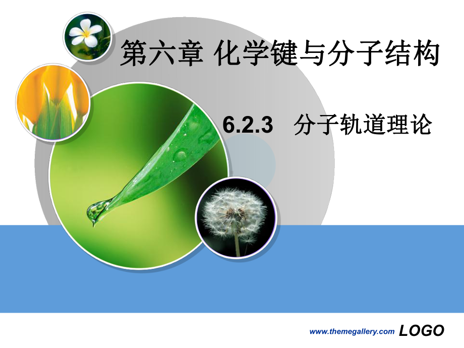 分子轨道理论课件讲义.ppt_第1页