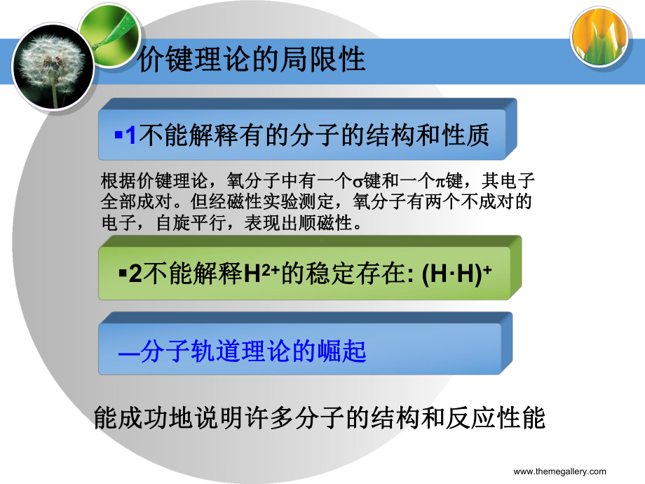 分子轨道理论课件讲义.ppt_第2页