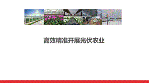 精准实施光伏农业课件.ppt