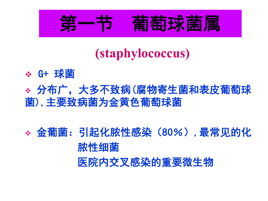 医学微生物学球菌课件.ppt_第3页