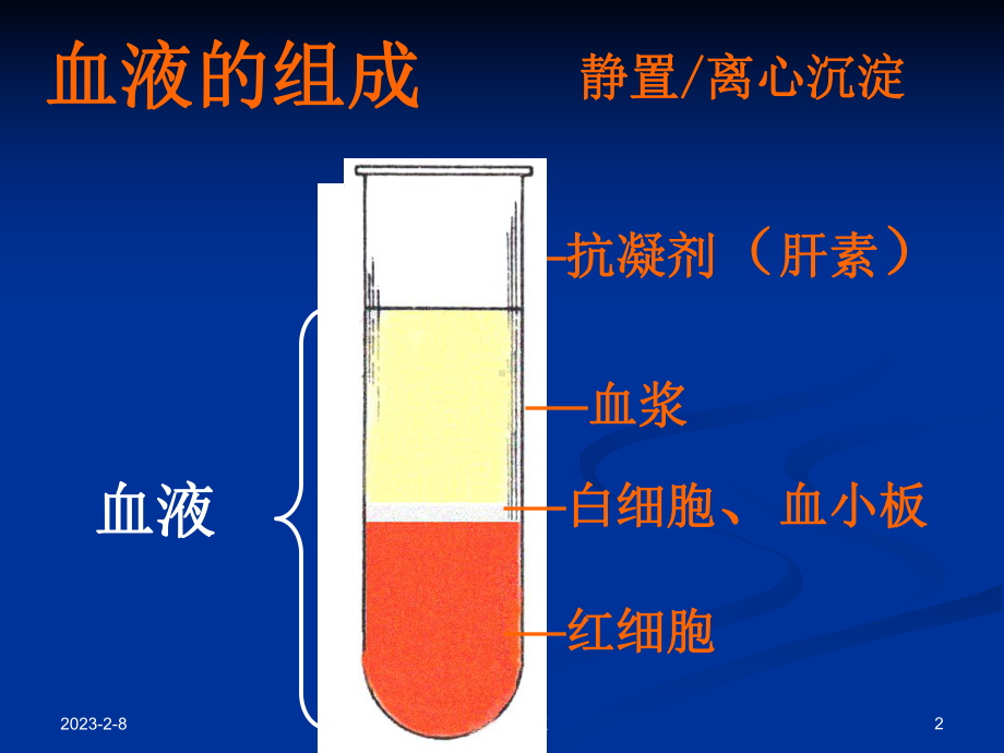 组织学与胚胎学血液课件002.ppt_第2页