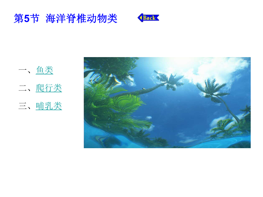 第02章海洋药用生物第5节课件.ppt_第3页