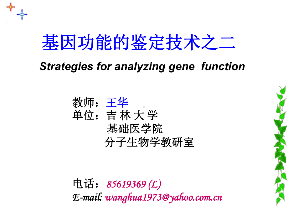 基因功能研究2RNi+Yeast课件.ppt_第1页