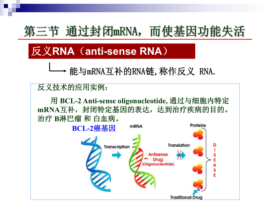 基因功能研究2RNi+Yeast课件.ppt_第3页