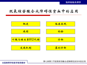 脱氧核苷酸合成障碍性贫血中的应用课件.ppt