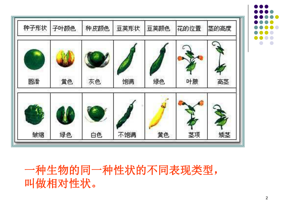 遗传的基本规律课件讲义.ppt_第2页