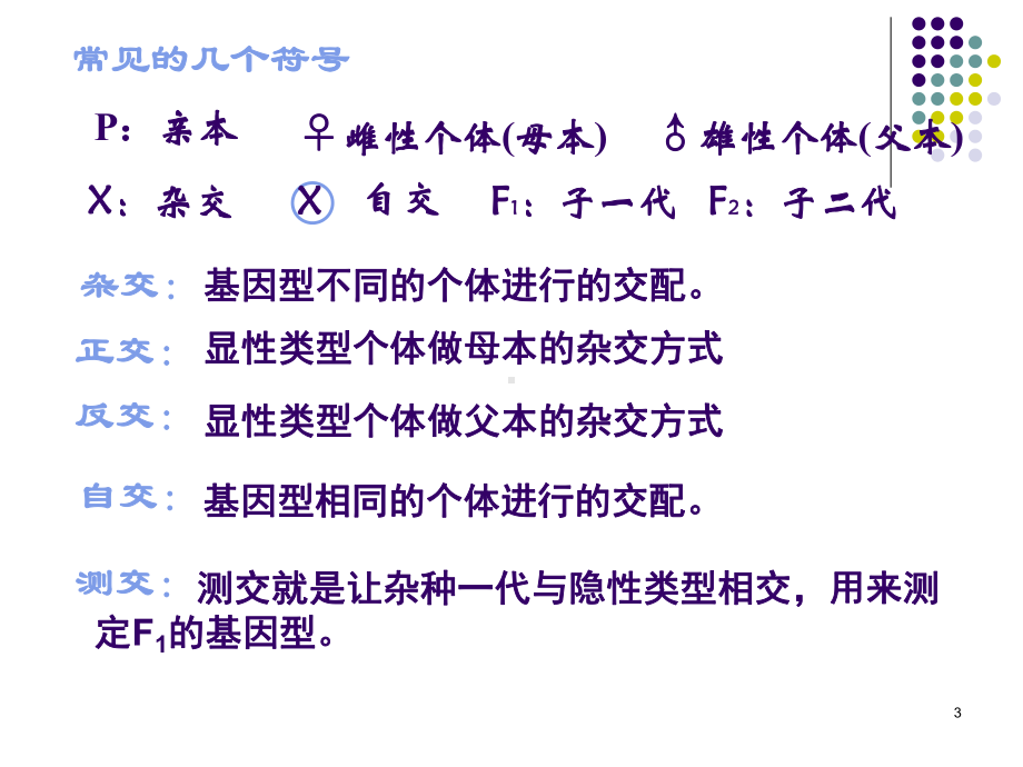 遗传的基本规律课件讲义.ppt_第3页