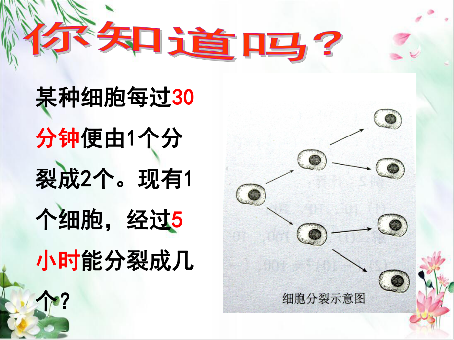 北师大版七年级上册数学有理数乘方的运算课件.ppt_第2页