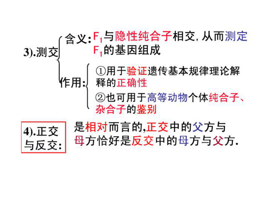 孟德尔定律相关计算课件.ppt_第2页