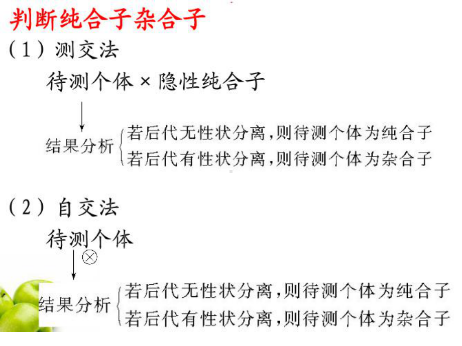 孟德尔定律相关计算课件.ppt_第3页