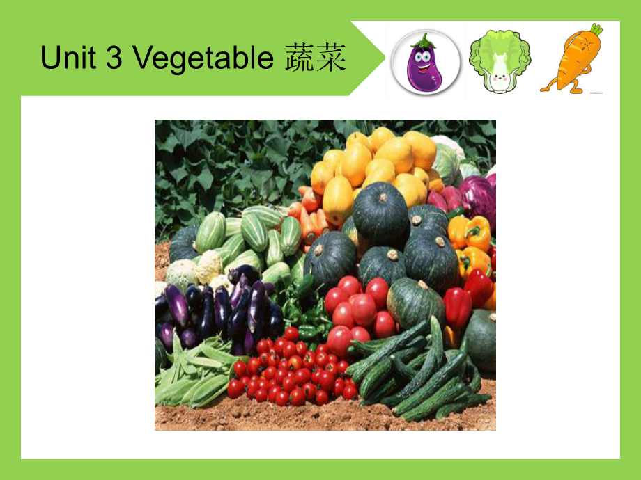 烹饪厨房英语unit3Vegetable课件.ppt（纯ppt,可能不含音视频素材）_第1页