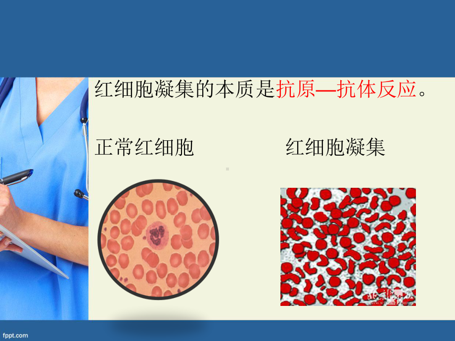 临床输血课件.ppt_第3页