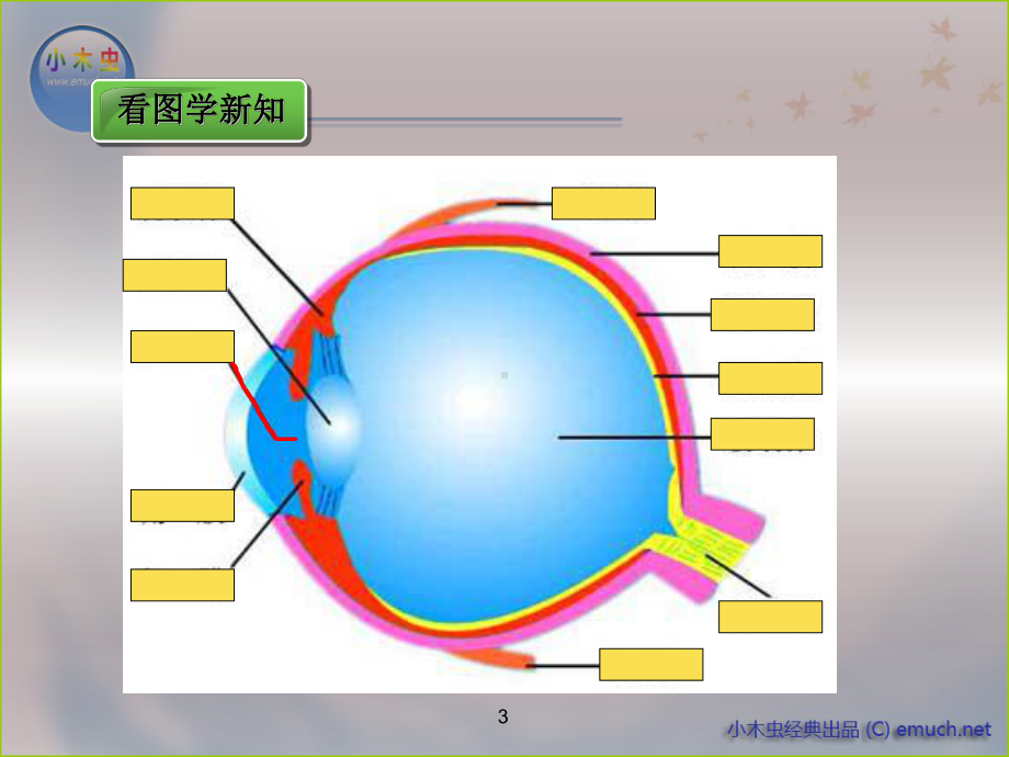 人体对周围世界的感知课件.ppt_第3页