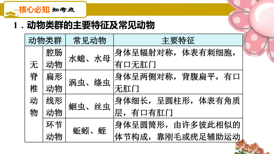 人教版八年级生物上册第一章巩固强化复习课件.ppt_第3页