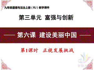 人教版道德与法治九年级上册正视发展挑战课件4.pptx