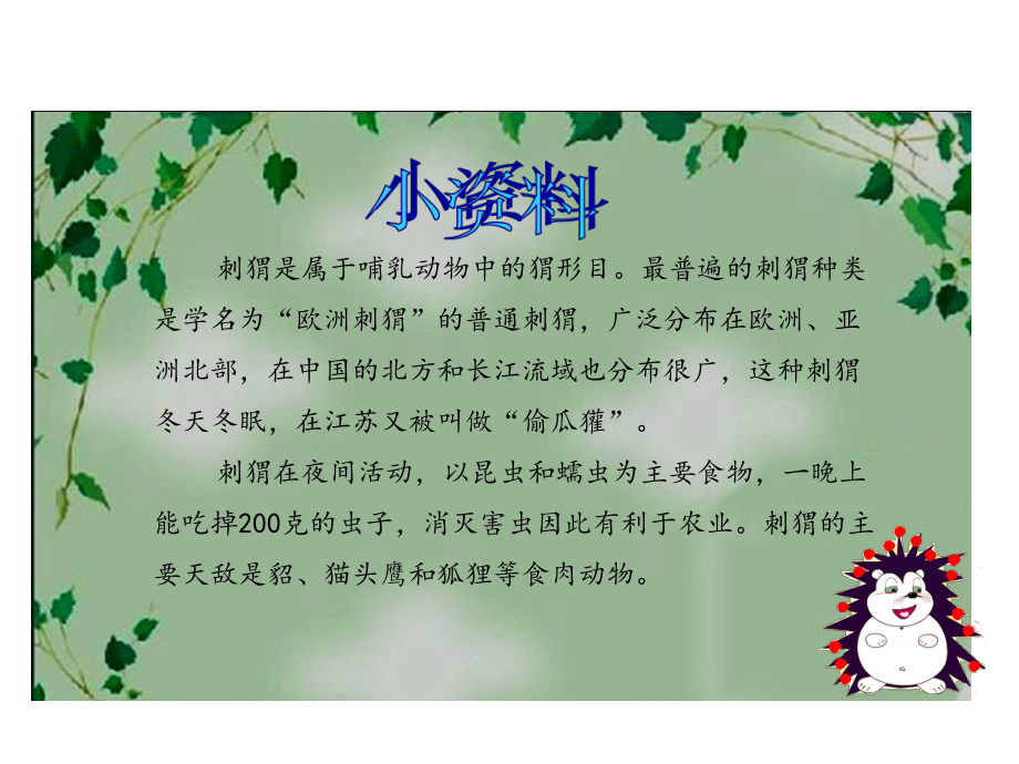 小学三年级语文上册第7单元23带刺的朋友名师公开课省级获奖课件2新人教版.ppt_第3页