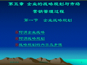 企业的战略规划与市场营销管理过程方案.pptx