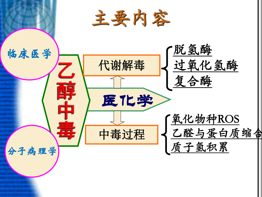 乙醇中毒的医化学原理课件.ppt_第3页