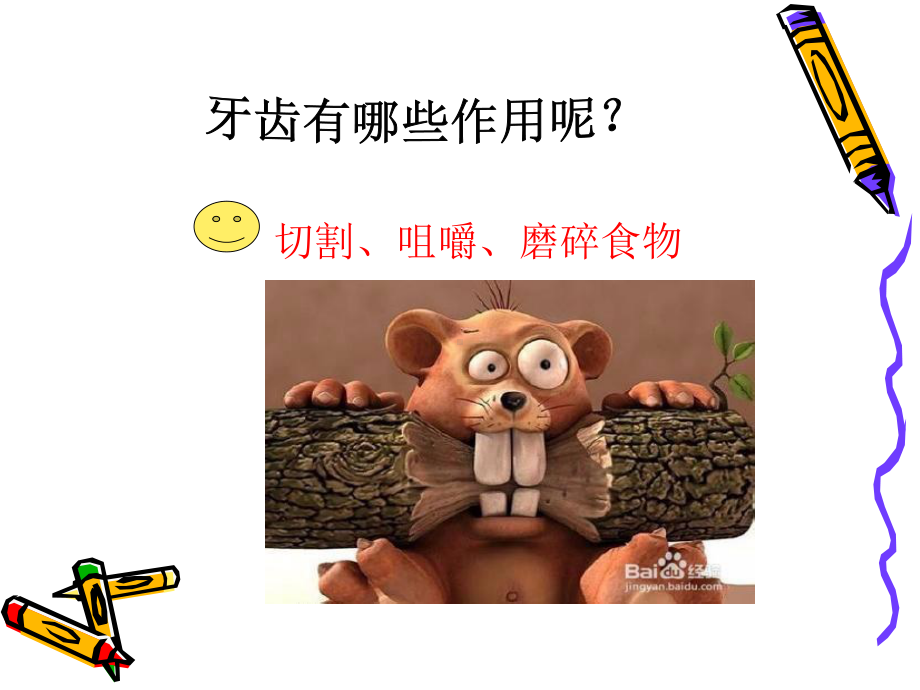 学会正确的刷牙课件.ppt_第3页