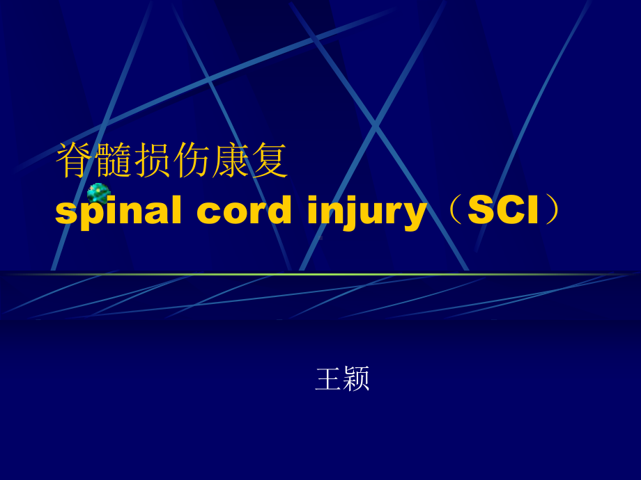 脊髓损伤康复spinal cord injury(SCI)课件.ppt_第1页