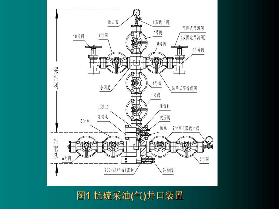 抗硫采油(气)井口装置课件.ppt_第3页