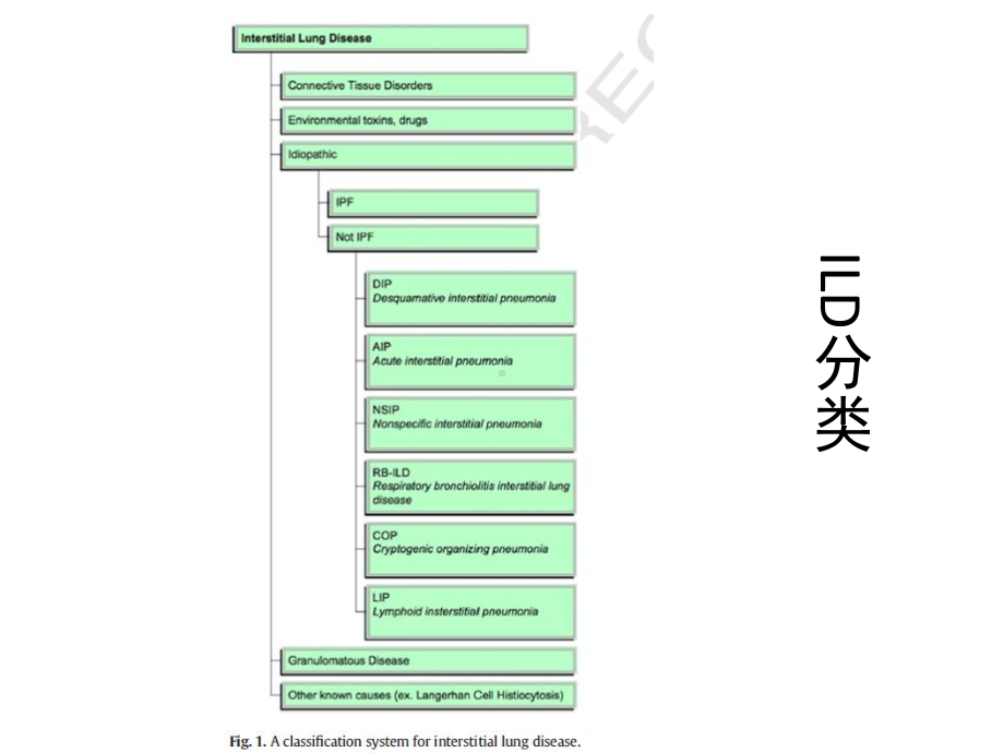 于文成特发性间质性肺炎新分类课件.pptx_第3页