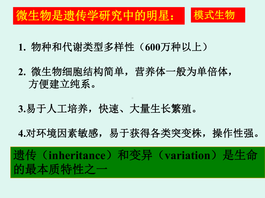 第七章微生物的遗传变异和育种课件讲义.ppt_第2页