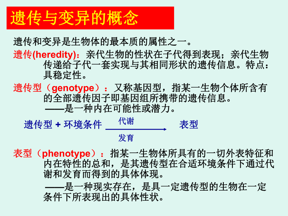 第七章微生物的遗传变异和育种课件讲义.ppt_第3页