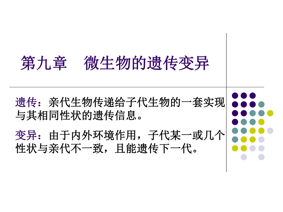 第九章微生物的遗传变异1课件.ppt_第1页