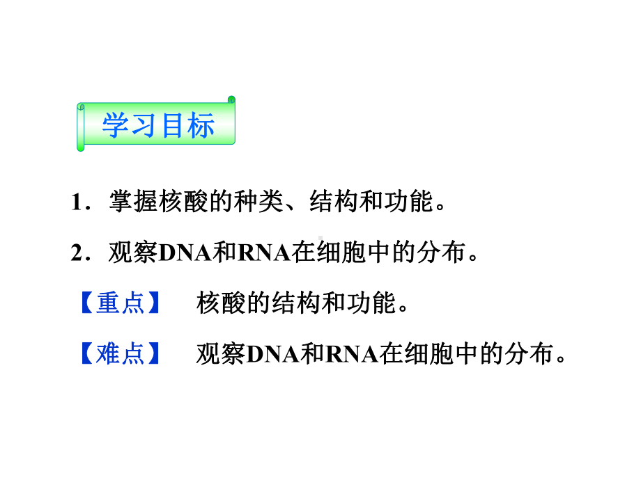 核酸的基本结构和功能课件.ppt_第2页