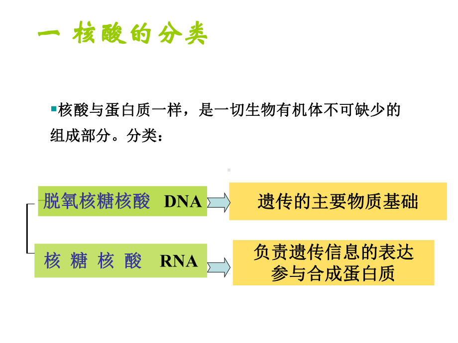 核酸的基本结构和功能课件.ppt_第3页