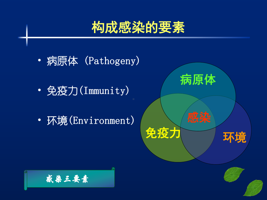 感染性休克课件整理.ppt_第2页