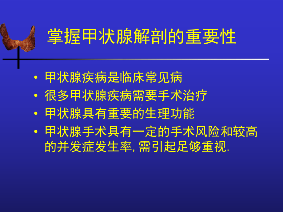 甲状腺生理解剖课件.ppt_第2页