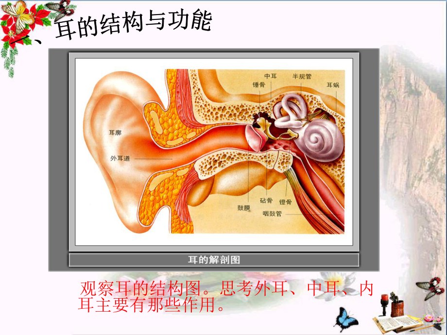 四年级科学上册36我们是怎样听到声音的精选教学课件2教科版.ppt_第3页