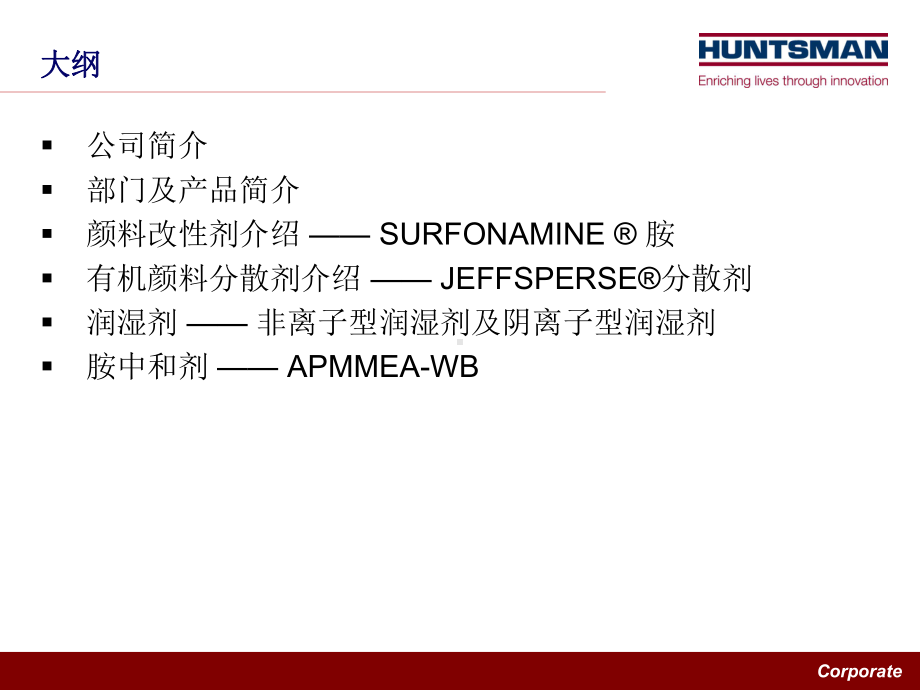 亨斯迈产品介绍及其颜料改性课件.pptx_第2页